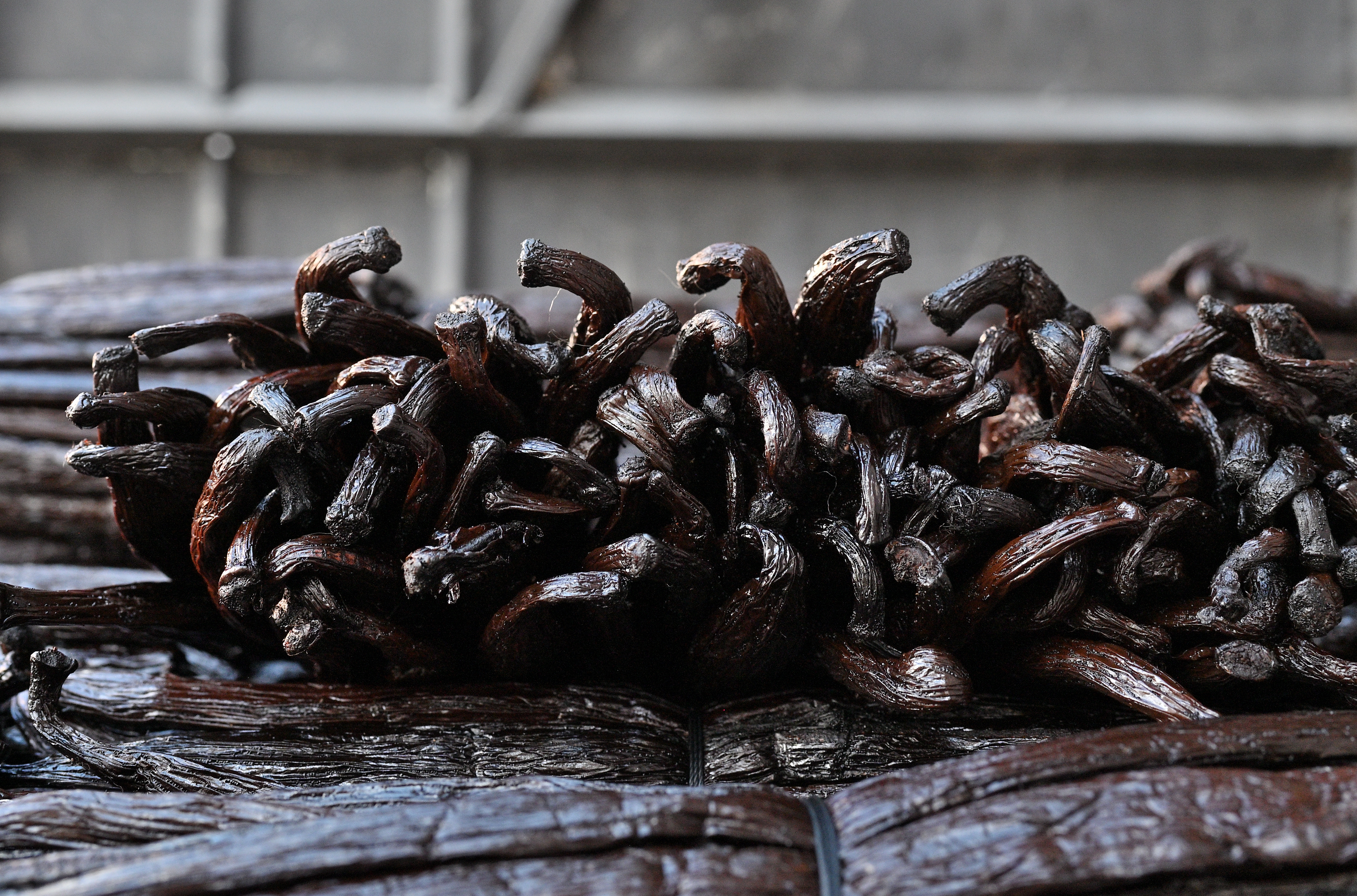 Premium vanilla background