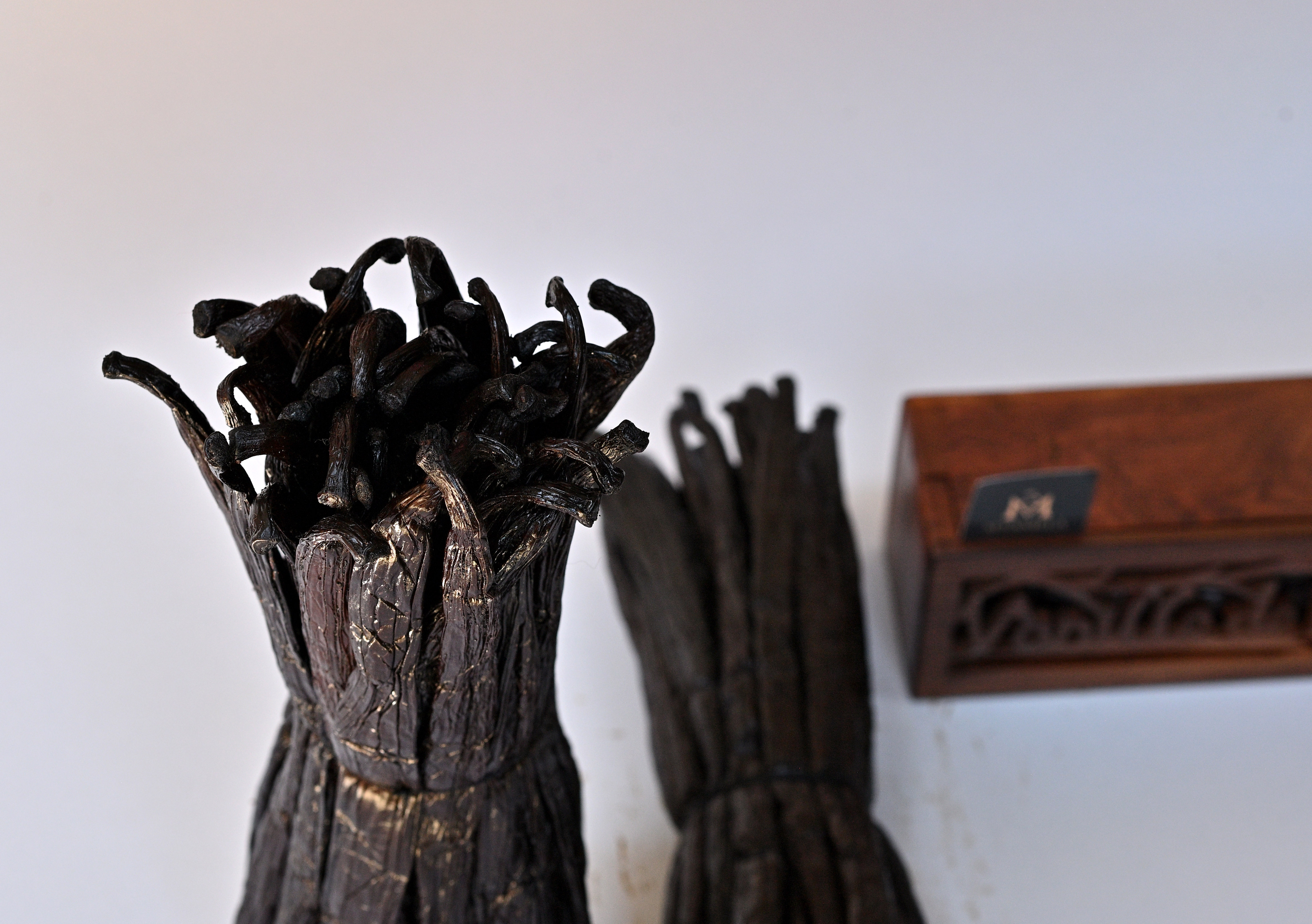 Close-up of premium Madagascar vanilla pods