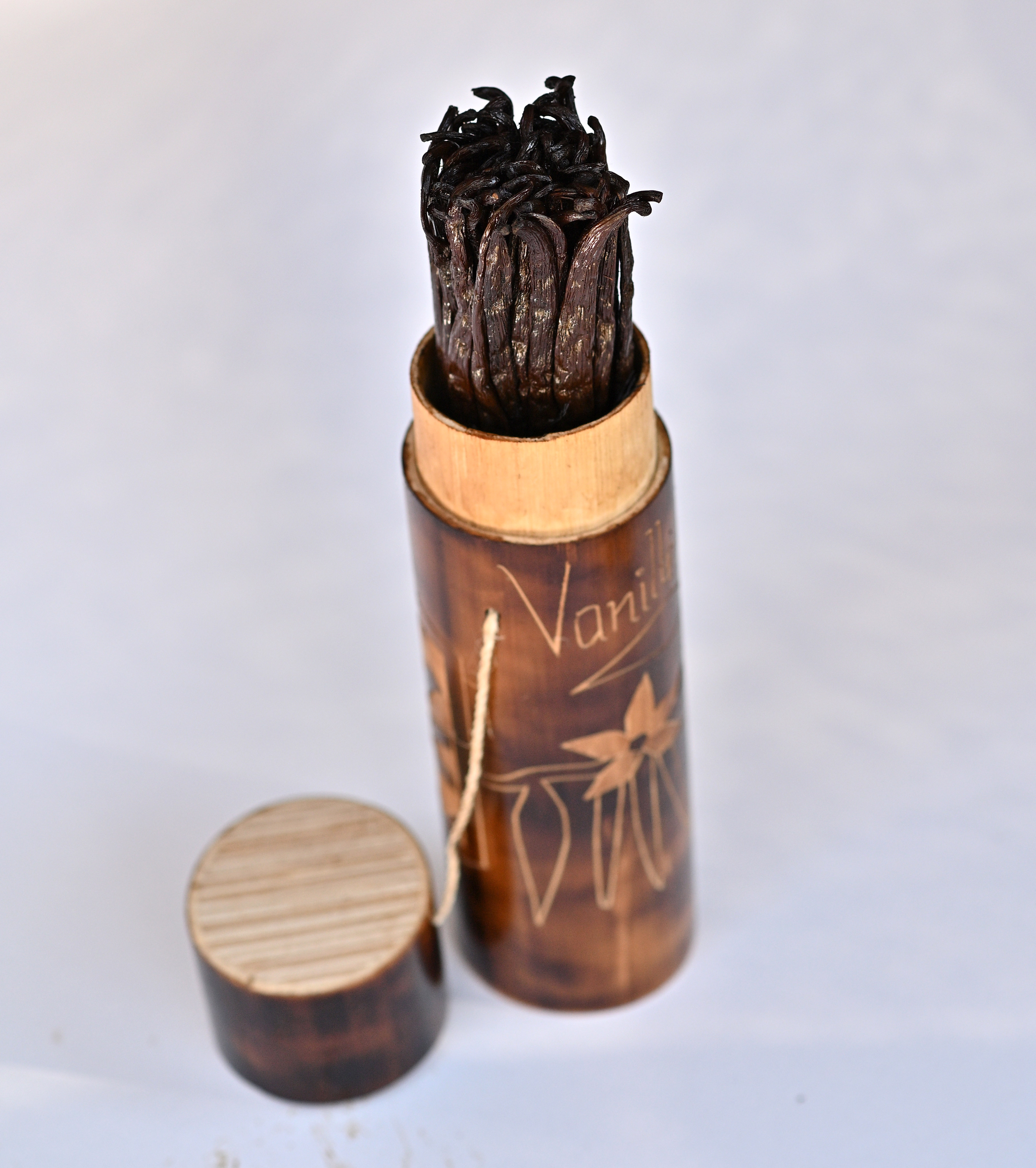 Vanilla bean texture macro detail