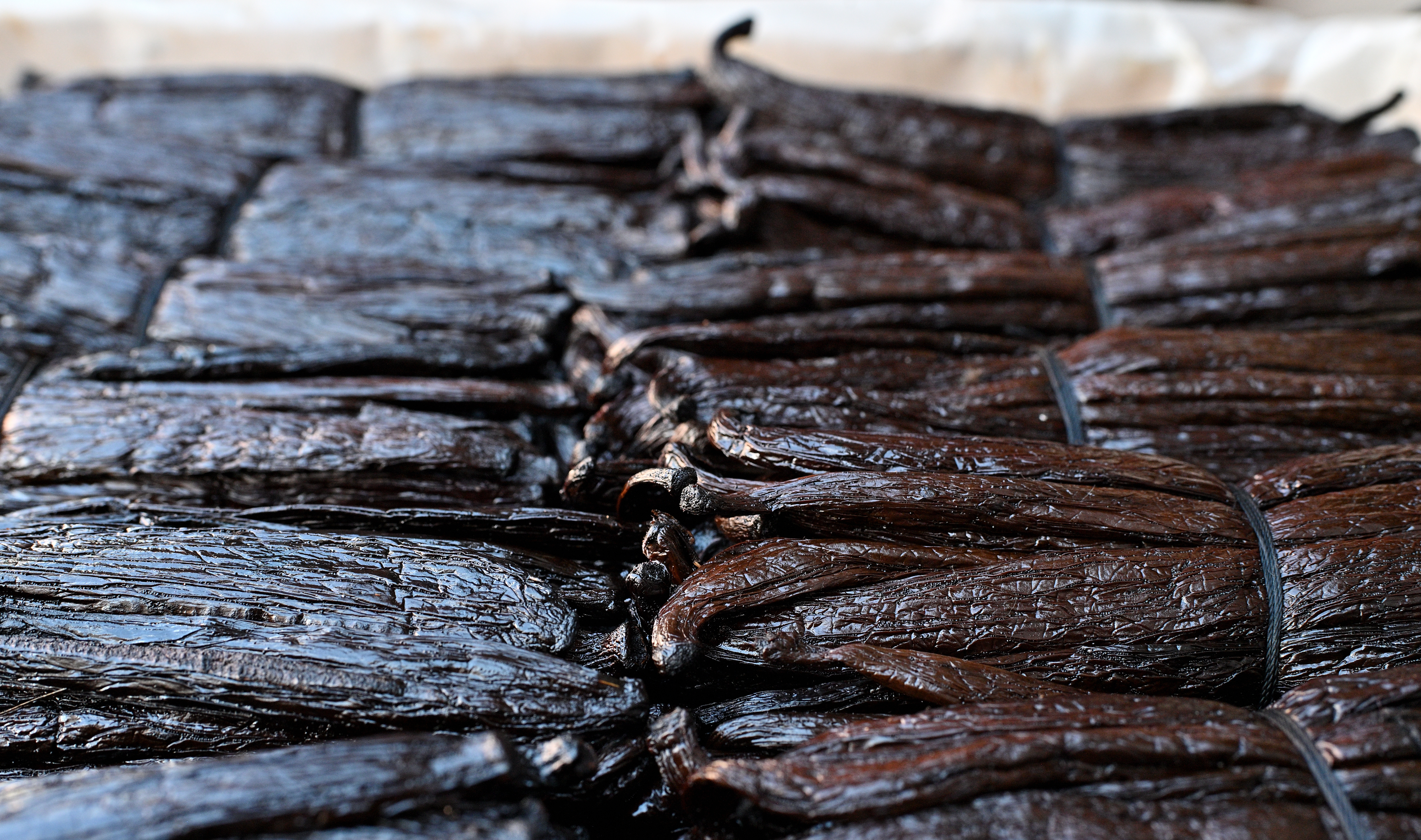 Madagascar vanilla landscape