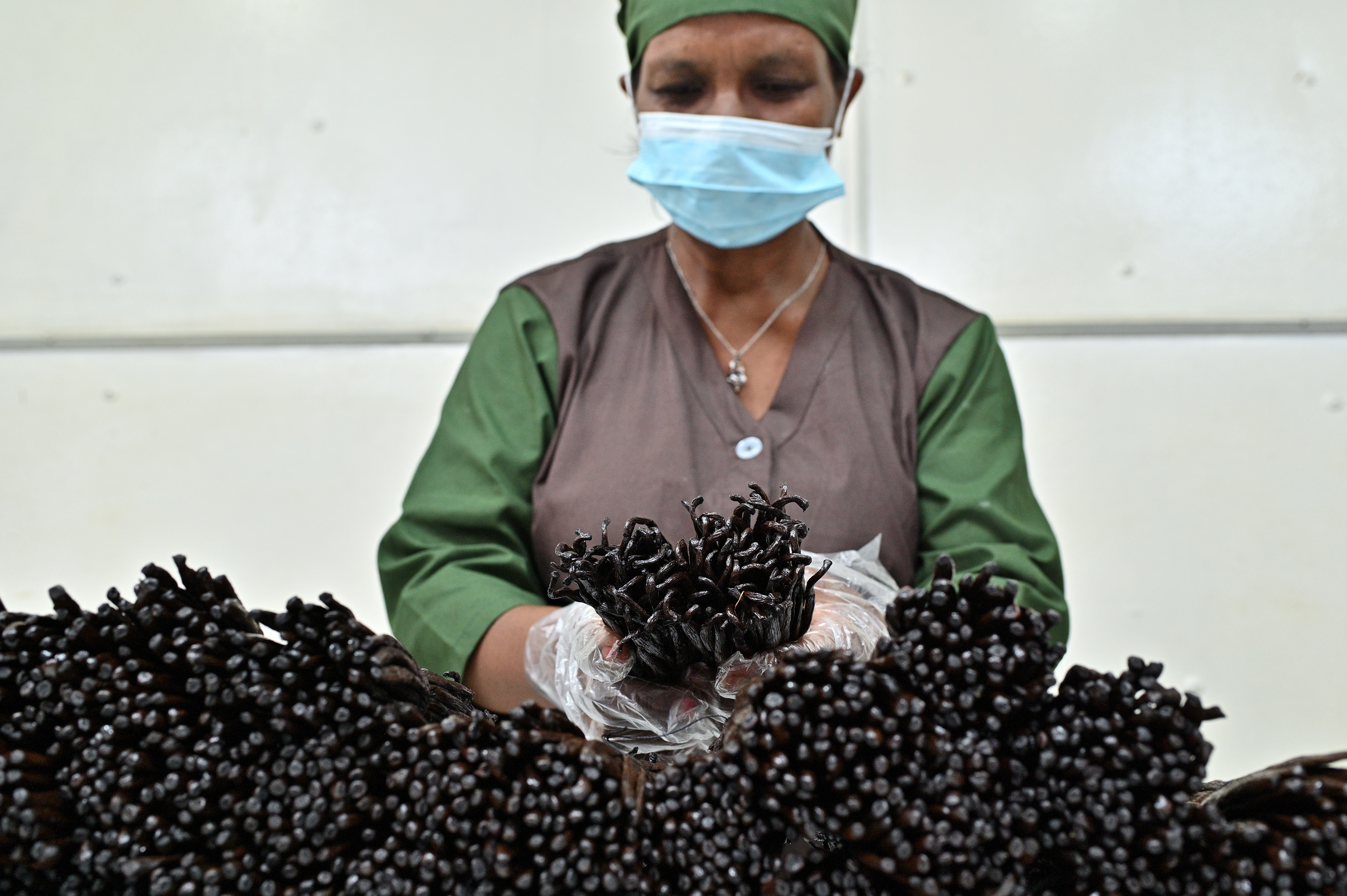Drying vanilla beans